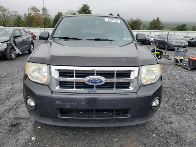 2011 Ford Escape XLT