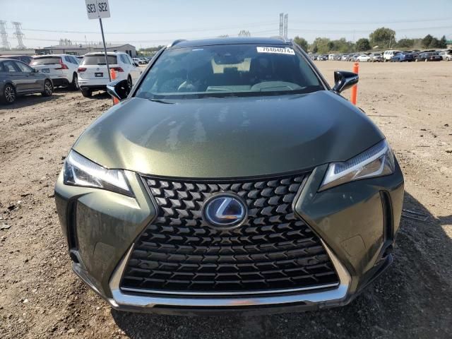 2020 Lexus UX 250H