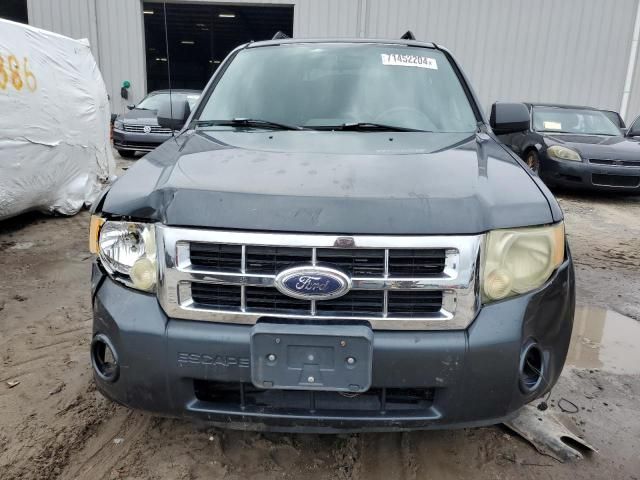 2008 Ford Escape XLT