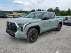 2024 Toyota Tundra Crewmax SR