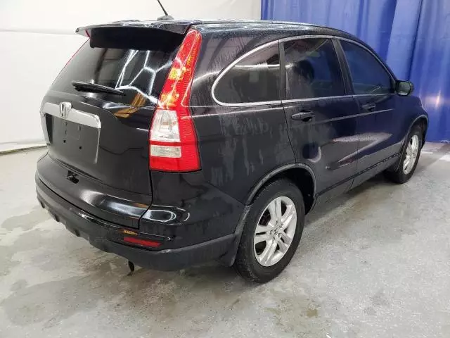 2010 Honda CR-V EXL