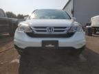 2010 Honda CR-V EXL