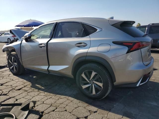 2020 Lexus NX 300H