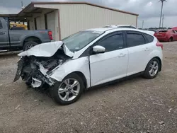 Salvage cars for sale at Temple, TX auction: 2014 Ford Focus SE