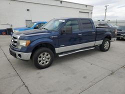 Ford salvage cars for sale: 2013 Ford F150 Supercrew