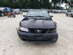 2001 Ford Mustang