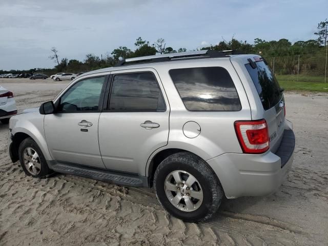 2009 Ford Escape Limited