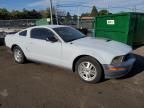 2007 Ford Mustang GT