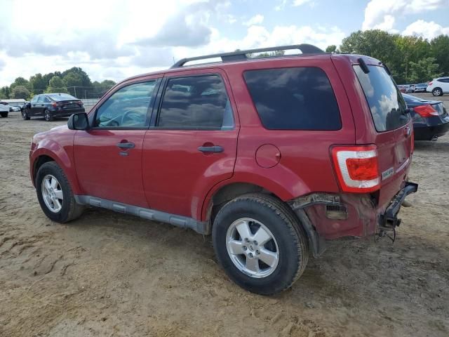 2011 Ford Escape XLT