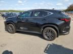 2024 Lexus NX 350H Base