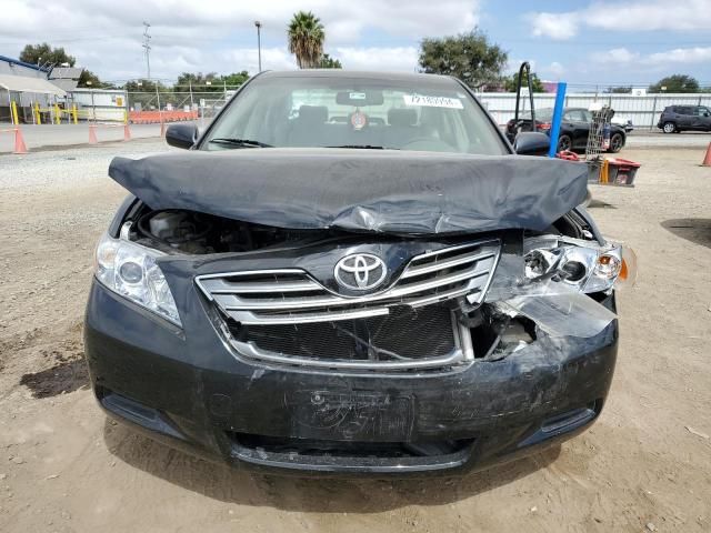 2009 Toyota Camry Hybrid