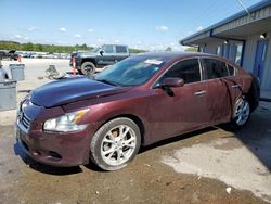 Nissan salvage cars for sale: 2014 Nissan Maxima S