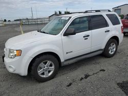 Ford salvage cars for sale: 2010 Ford Escape Hybrid