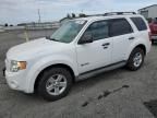 2010 Ford Escape Hybrid