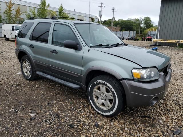 2006 Ford Escape XLT