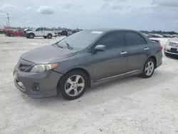 2013 Toyota Corolla Base en venta en Arcadia, FL