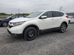 Salvage cars for sale at Ottawa, ON auction: 2018 Honda CR-V EX