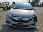 2019 Honda Odyssey EXL