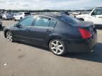 2004 Nissan Maxima SE