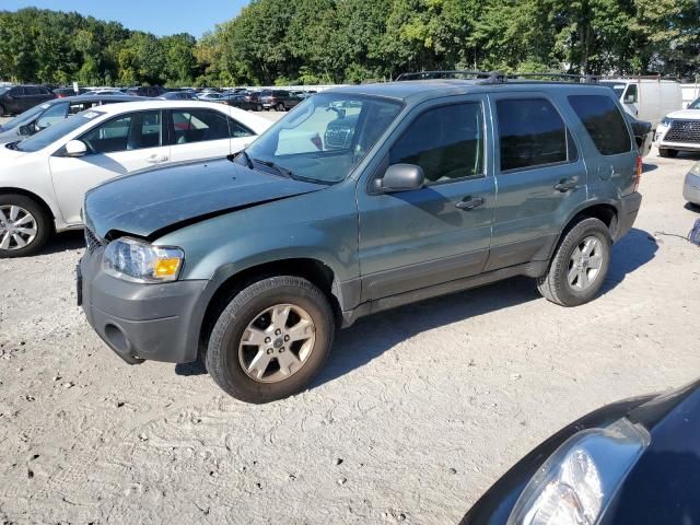 2007 Ford Escape XLT