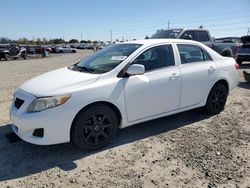 Salvage cars for sale at Eugene, OR auction: 2009 Toyota Corolla Base