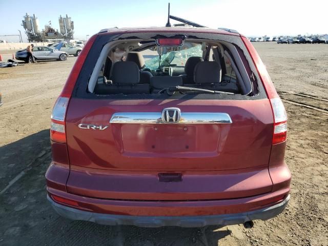 2010 Honda CR-V EX