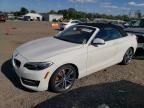 2016 BMW 228 I Sulev