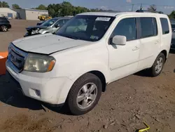 Salvage cars for sale at Hillsborough, NJ auction: 2011 Honda Pilot EXL