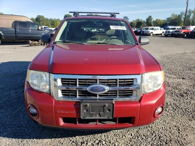 2008 Ford Escape XLT