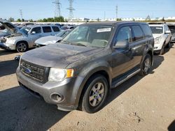 2009 Ford Escape XLT en venta en Elgin, IL