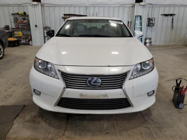 2014 Lexus ES 300H