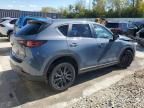 2024 Mazda CX-5 Preferred