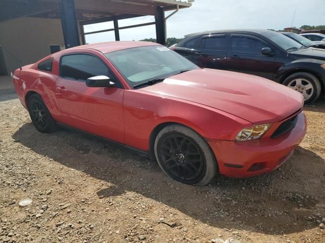 2010 Ford Mustang