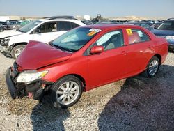 Toyota salvage cars for sale: 2010 Toyota Corolla Base