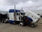 2016 Peterbilt 389