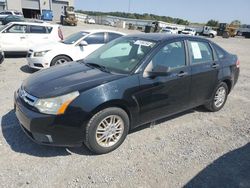 Salvage cars for sale at Earlington, KY auction: 2010 Ford Focus SE