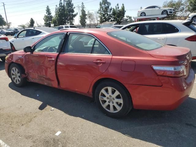 2009 Toyota Camry Hybrid