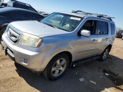 Salvage cars for sale at Brighton, CO auction: 2010 Honda Pilot EXL