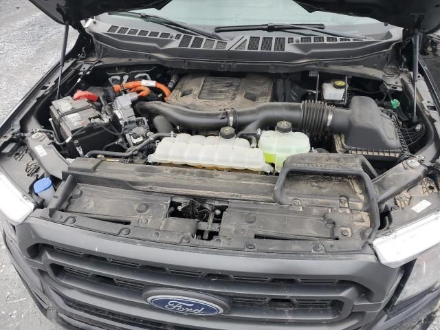 2023 Ford F150 Supercrew