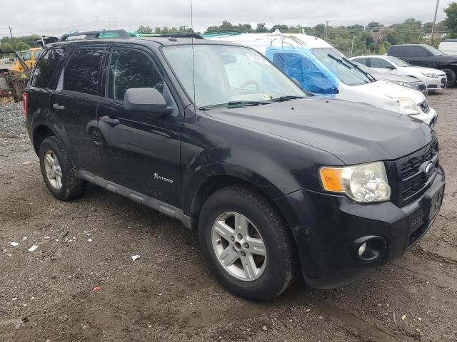 2009 Ford Escape Hybrid