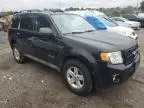 2009 Ford Escape Hybrid