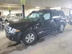 Salvage cars for sale at Indianapolis, IN auction: 2012 Ford Escape Limited