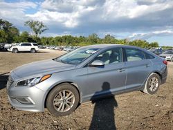 Hyundai Sonata Vehiculos salvage en venta: 2016 Hyundai Sonata SE