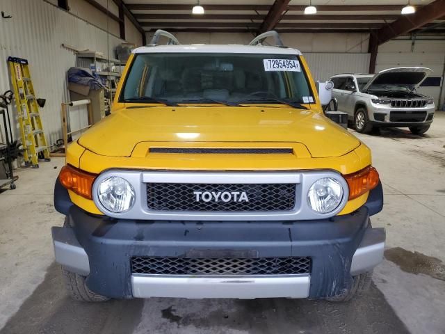 2010 Toyota FJ Cruiser