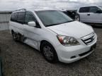 2007 Honda Odyssey EX