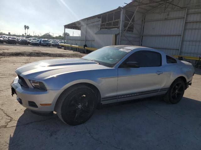 2010 Ford Mustang