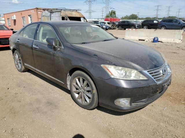 2011 Lexus ES 350