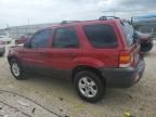 2007 Ford Escape XLT