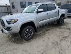 Salvage cars for sale at Los Angeles, CA auction: 2023 Toyota Tacoma Double Cab