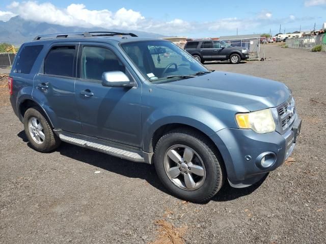 2011 Ford Escape Limited